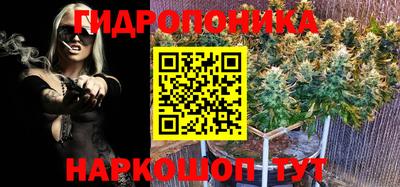 ПСИЛОЦИБИНОВЫЕ ГРИБЫ Чапаевск