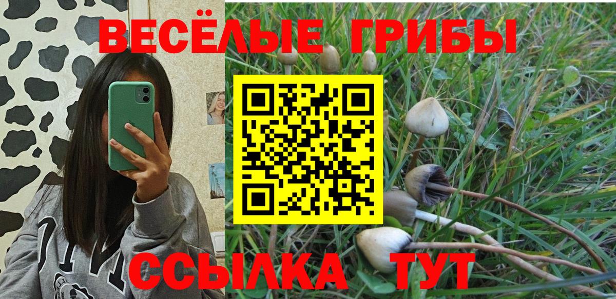 Галлюциногенные грибы мицелий Краснодар