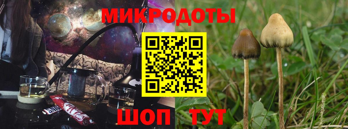 Псилоцибиновые грибы ЛСД  Вход с VPN  где купить наркотик  Галлюциногенные грибы Psilocybe  Краснодар 